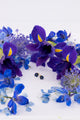 Big Flower Stud - Lapis Lazuli